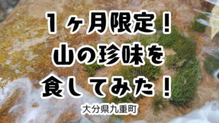 山の珍味を食してみた！